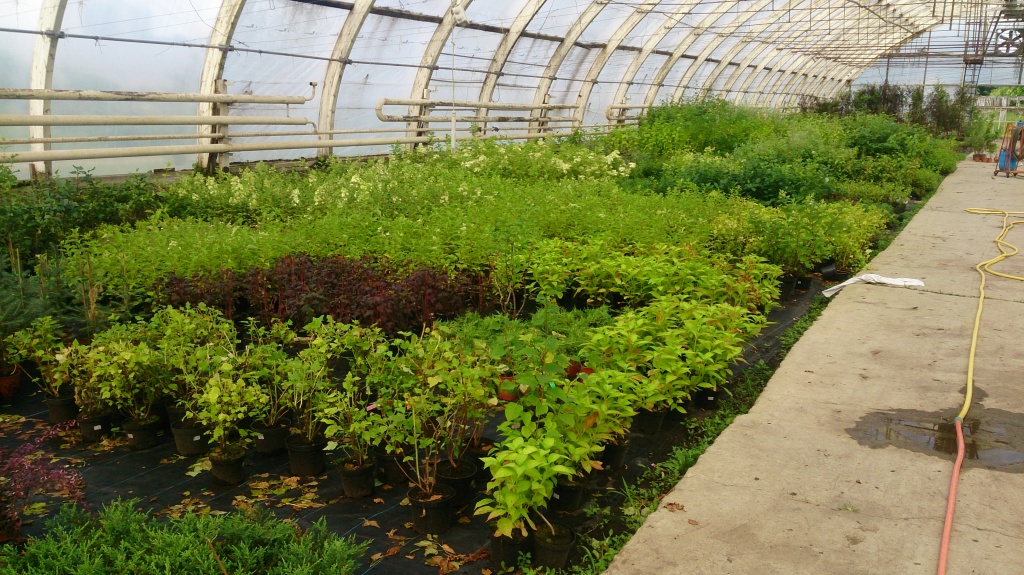 DSC_5065.jpg DSC_5065.jpg