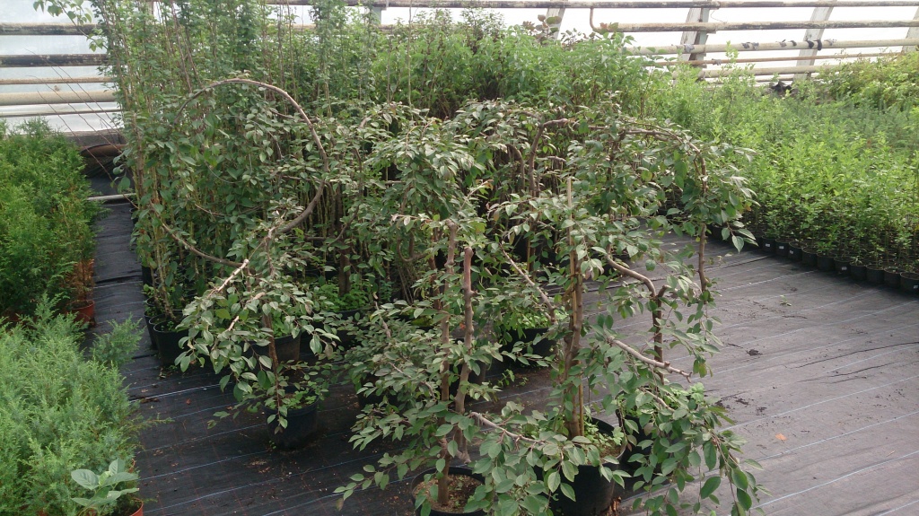 DSC_5064.jpg DSC_5064.jpg