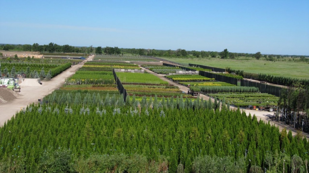 preview_np970.jpg preview_np970.jpg