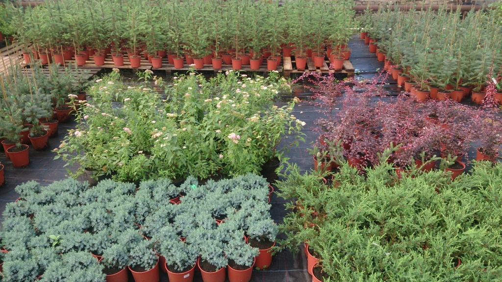 DSC_5067.jpg DSC_5067.jpg