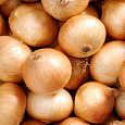 Лук Репчатый Каратальский