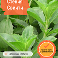 Стевия Свиити