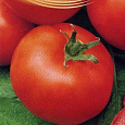 Томат Дар Заволжья