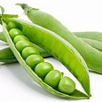 Горох овощной Первенец
