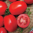 Томат Ударник F1
